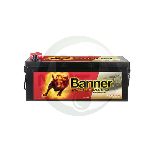 BANNER АКУМУЛАТОР 12V225AH 1150A SHD 725 03