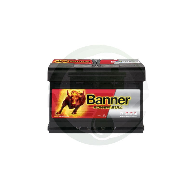 BANNER АКУМУЛАТОР 12V74AH 680A R+ P74 12